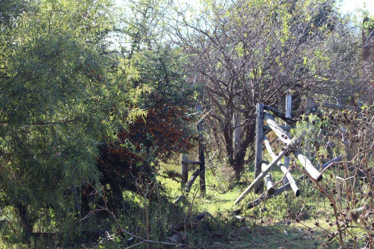 Matlapa Lodge Magaliesburg Exterior photo